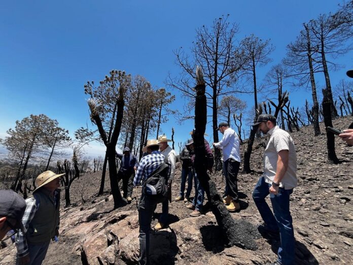 Obtienen Información Positiva para Reforestación tras Recorrido por Altzayanca- AlternanivaTlx