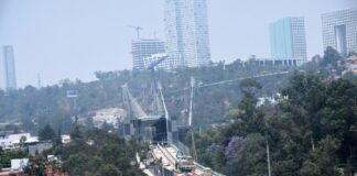 Puente Atirantado del Tren El Insurgente Protege Reserva Ecológica que Beneficia a 13 Colonias - AlternativaTlx