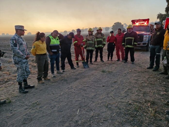 Sofocan Incendio en el Cerro del Quimicho- AlternativaTlx  