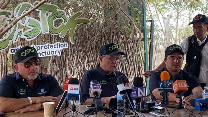 Alrededor de 700 Animales Silvestres emprenderán El Éxodo más grande de la Historia - AlternativaTlx