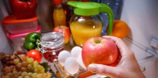 Cuida tus alimentos esta temporada de calor para evitar intoxicaciones - AlternativaTlx