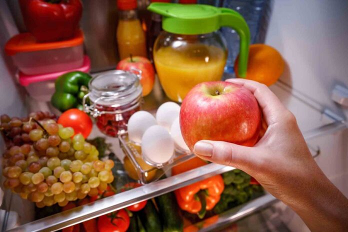 Cuida tus alimentos esta temporada de calor para evitar intoxicaciones - AlternativaTlx Cuida tus alimentos esta temporada de calor para evitar intoxicaciones - AlternativaTlx