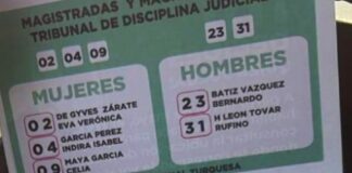 Del Ratón Loco a los Acordeones - AlternativaTlx