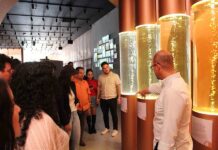 Estudiantes de Posgrados visitan el Tequila Lab - AlternativaTlx