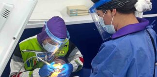 La visita al dentista no tiene por qué ser aterradora para los niños - AlternativaTlx