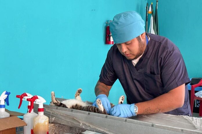 Llegará este Martes a San José Xicohténcatl la Caravana de Salud y Servicios “Por Amor a las Familias”- AlternativaTlx Llegará este Martes a San José Xicohténcatl la Caravana de Salud y Servicios “Por Amor a las Familias”- AlternativaTlx