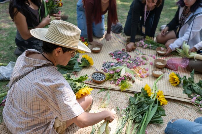 Los Pinos Celebra a la Tierra y el Maíz - AlternativaTlx