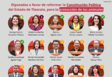 Pasmo en el Congreso para Elevar a Rango Constitucional a la Protección Animal- AlternativaTlx 