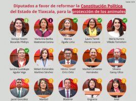 Pasmo en el Congreso para Elevar a Rango Constitucional a la Protección Animal- AlternativaTlx 