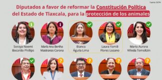 Pasmo en el Congreso para Elevar a Rango Constitucional a la Protección Animal- AlternativaTlx 