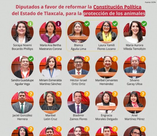 Pasmo en el Congreso para Elevar a Rango Constitucional a la Protección Animal- AlternativaTlx 