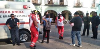 Posicionamiento del Ayuntamiento de Tlaxcala ante Incidente con Canes en el Zócalo Capitalino- AlternativaTlx 