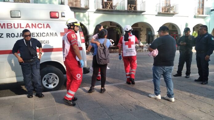 Posicionamiento del Ayuntamiento de Tlaxcala ante Incidente con Canes en el Zócalo Capitalino- AlternativaTlx 