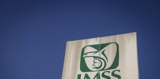 Puestos de trabajo afiliados al Instituto Mexicano del Seguro Social - AlternativaTlx