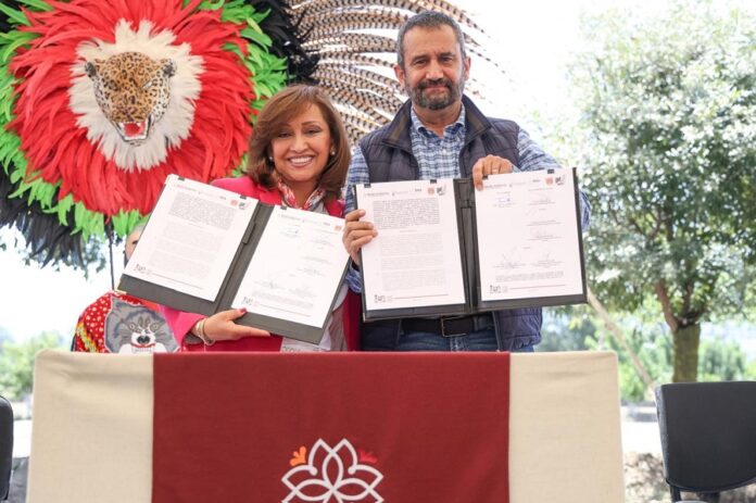 Refuerzan Autoridades Acciones para la Protección de Bosques- AlternativaTlx 