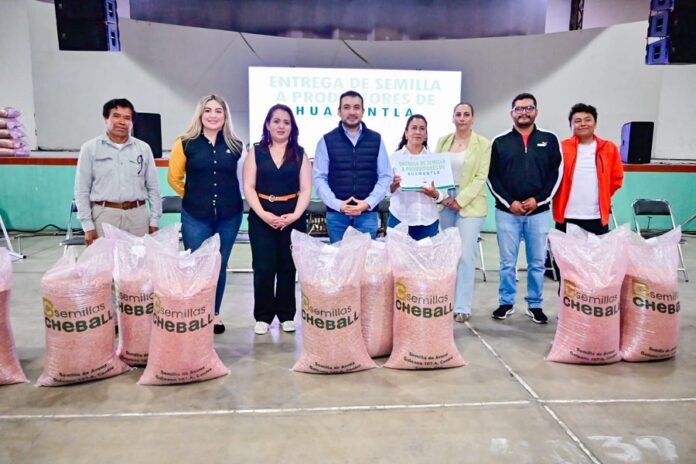 Salvador Santos Cedilllo Apoya a los Agricultores de Huamantla con 90 Toneladas de Semilla de Avena Mejorada- AlternativaTlx 