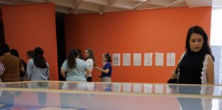 Tina Girouard regresa al Museo Tamayo - AlternativaTlx