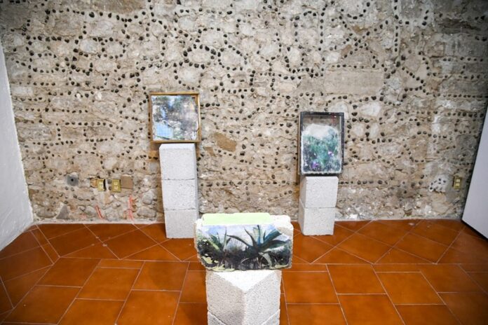 Tlaxcala Celebra el Día Internacional de los Museos con Actividades para toda la Familia- AlternativaTlx 