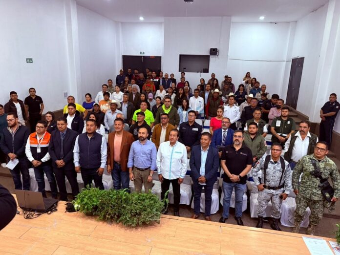 Tlaxcala se Prepara para Temporada de Avistamiento de Luciérnagas 2025- AlternativaTlx 