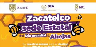 Zacatelco como Sede Estatal del Día Mundial de la Abeja, Promoviendo su Importancia- AlternativaTlx