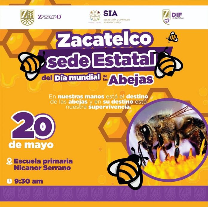 Zacatelco como Sede Estatal del Día Mundial de la Abeja, Promoviendo su Importancia- AlternativaTlx