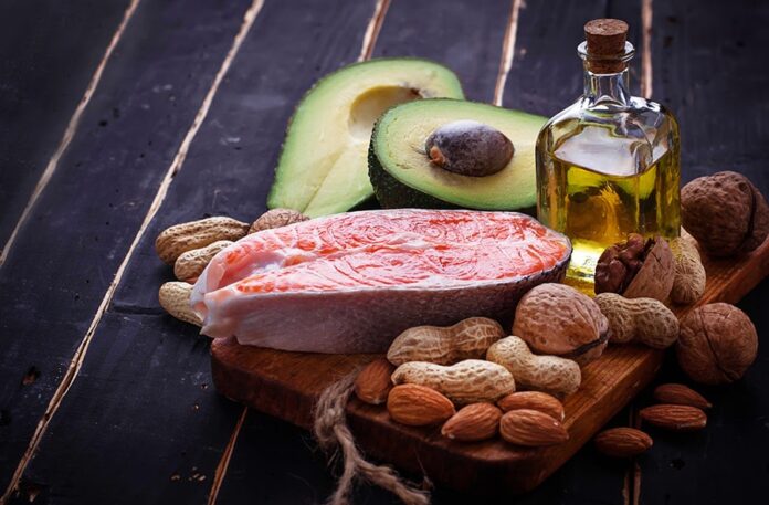 Grasa parda: El tejido que quema calorías y protege tu metabolismo - AlternativaTlx Grasa parda: El tejido que quema calorías y protege tu metabolismo - AlternativaTlx
