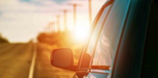 ¡Cuidado con el calor! Objetos que no debes dejar en el auto - AlternativaTlx