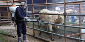 80 Profesionales en Sanidad Animal Realizan Simulacro para Prevenir Gusano Barrenador del Ganado: SIA- AlternativaTlx 