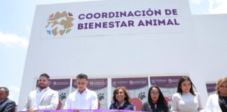 Abre sus Puertas la Primera Clínica de Bienestar Animal en Tlaxcala; Ofrecerá Servicios de Veterinaria Integral- AlternativaTlx 
