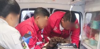 Actúan con Prontitud Cuerpos de Emergencia de Huamantla ante Accidente de Mujer en Molino de Nixtamal- AlternativaTlx 