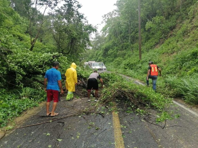 Atiende SICT 351 Incidencias en Mil 639 Km Afectados por Huracán “Erick” en Oaxaca y Guerrero - AlternativaTlx