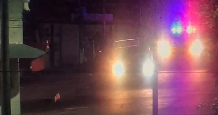 Atiende Seguridad Pública de Zacatelco Reporte de Riña en la Carretera Federal Tlaxcala-Puebla- AlternativaTlx 