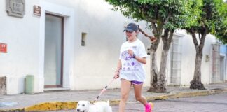 Ayuntamiento de Tlaxcala y SEDIF Fortalecen la Unión Familiar con Gran Carrera Dedicada a los Papás- AlternativaTlx 