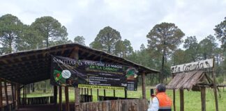 COEPRIST Fortalece Medidas Sanitarias en Nanacamilpa con Capacitación a más de 270 Comercios- AlternativaTlx