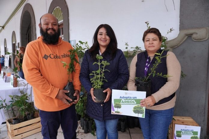 Campaña “Planta un Árbol, Siembra Vida”; Incentiva la Reforestación en Zacatelco- AlternativaTlx Campaña “Planta un Árbol, Siembra Vida”; Incentiva la Reforestación en Zacatelco- AlternativaTlx