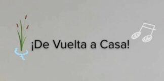Comunidad y CTBC-UATx Protegen, Estudian y Liberan a Tortuga Nativa de Tlaxcala - AlternativaTlx