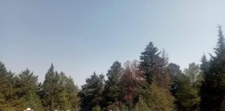 Convoca CIGyA-UATx al Segundo Tequio en San Diego Metepec - AlternativaTlx