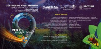 En Tlaxcala, Resguardan la Magia de las Luciérnagas 23 Centros de Avistamiento Autorizados- AlternativaTlx 