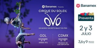 OVO De Cirque Du Soleil ¡Un Espectáculo Colorido y Enérgico para todas las Edades! - AlternativaTlx