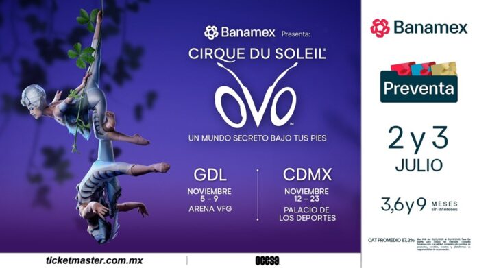 OVO De Cirque Du Soleil ¡Un Espectáculo Colorido y Enérgico para todas las Edades! - AlternativaTlx