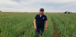Productores Agrícolas enfrentan Embestida de Demandas por Adeudos con Extinta Financiera Rural - AlternativaTlx