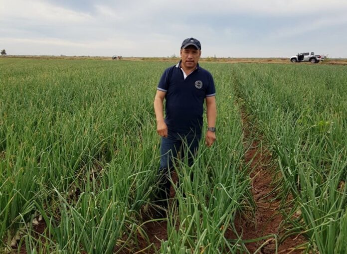 Productores Agrícolas enfrentan Embestida de Demandas por Adeudos con Extinta Financiera Rural - AlternativaTlx