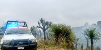 Protección Civil de Huamantla Supervisa Quema Controlada de Palmas en la Ranchería de Torres- AlternativaTlx 