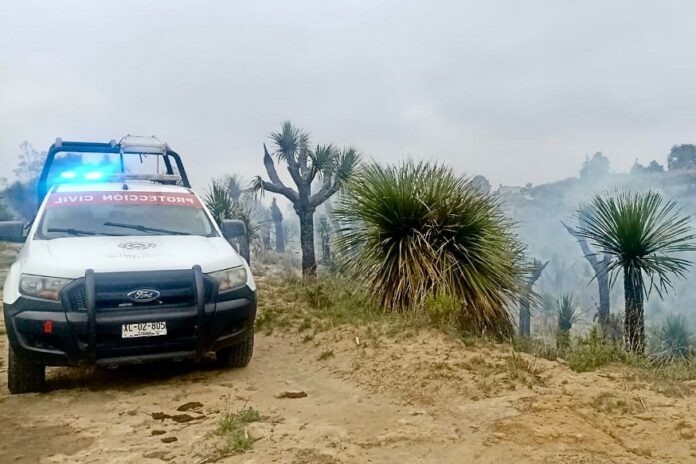 Protección Civil de Huamantla Supervisa Quema Controlada de Palmas en la Ranchería de Torres- AlternativaTlx 
