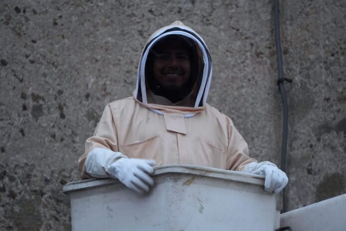 Protección Civil de Zacatelco Realiza Histórico Traslado de Panales de Abejas a Cargo de Apicultores- AlternativaTlx 