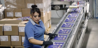 Puestos de trabajo afiliados al Instituto Mexicano del Seguro Social - AlternativaTlx