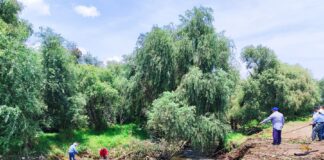 Realizan Labores de Limpieza y Desazolve en el Río Atoyac tras Intensas Lluvias- AlternativaTlx 