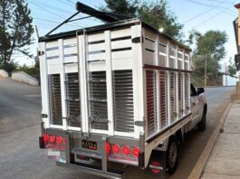 Recuperan Camioneta Robada con Violencia en Tenancingo Gracias a la Coordinación Entre la SSC de Tlaxcala y Puebla - AlternativaTlx