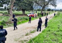 Resguarda Policía Municipal de Huamantla Hallazgo de Restos Óseos en Ignacio Zaragoza- AlternativaTlx 