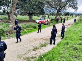 Resguarda Policía Municipal de Huamantla Hallazgo de Restos Óseos en Ignacio Zaragoza- AlternativaTlx 